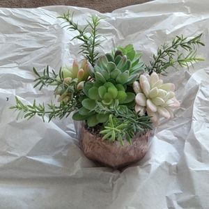 Faux succulents in pot
